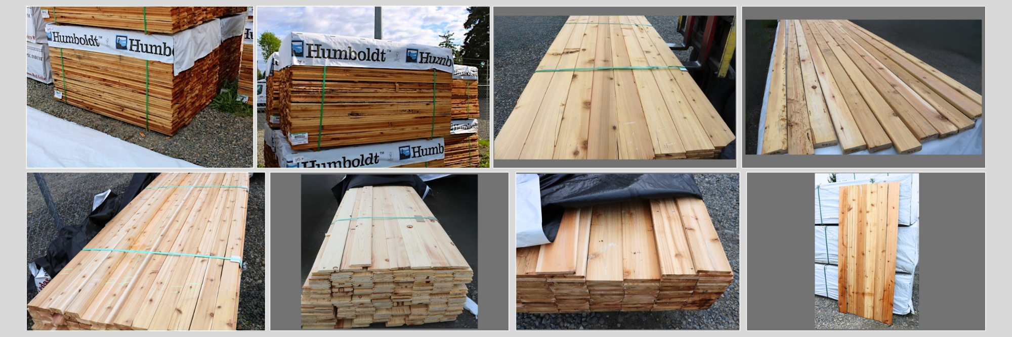 Red Cedar (2)